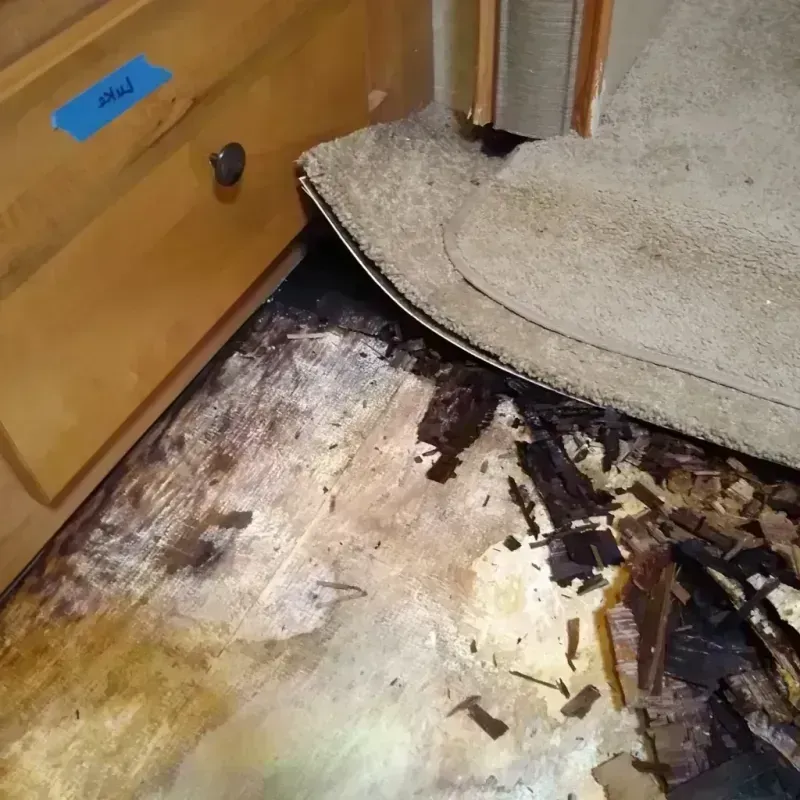 Wood Floor Water Damage in Valley Grande, AL